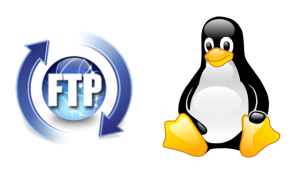 Linux FTP Error Logs